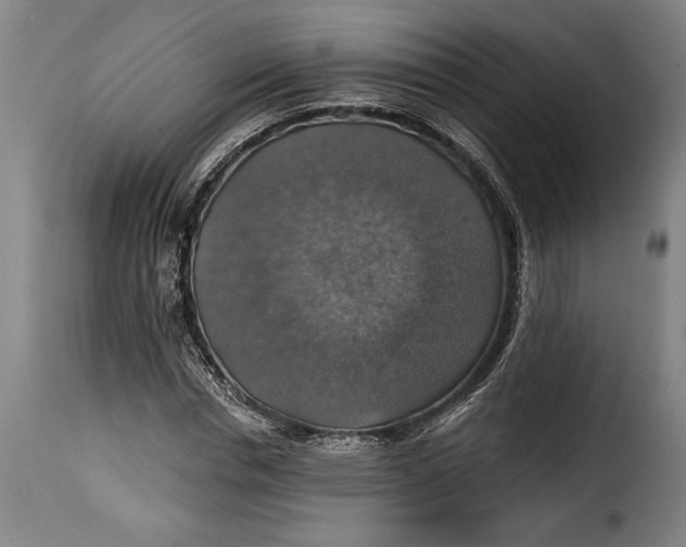 X0000115360826200911241214