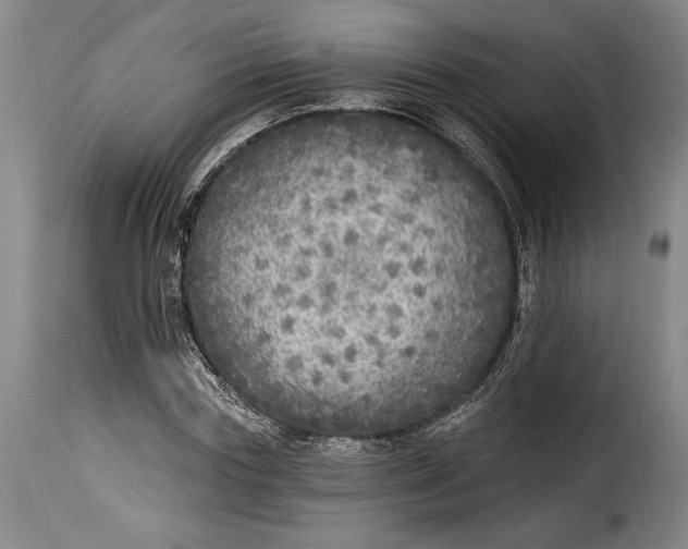 X0000115360827200911241214