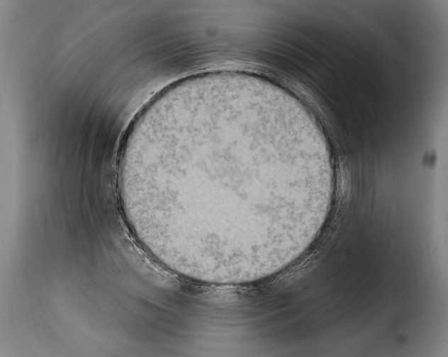 X0000115360828200911241214