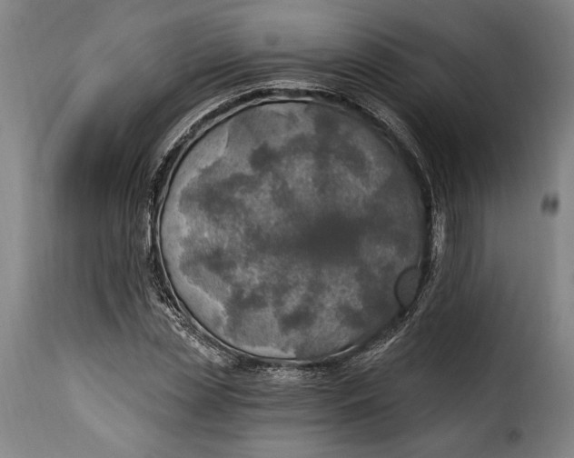 X0000115360829200911241214