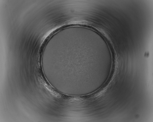 X0000115360830200911241214