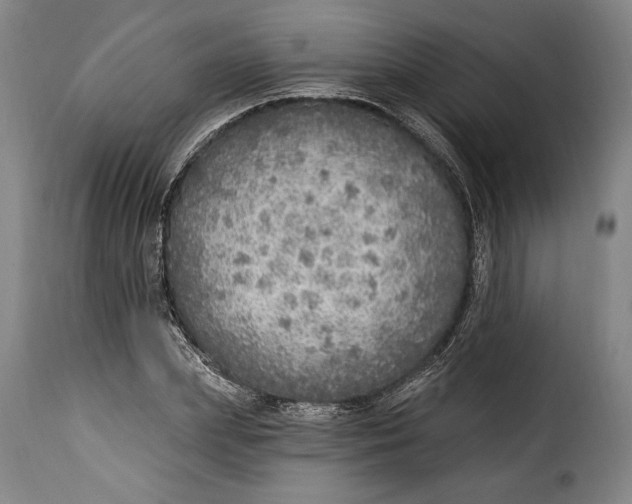 X0000115360831200911241215
