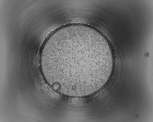 X0000115360832200911241215