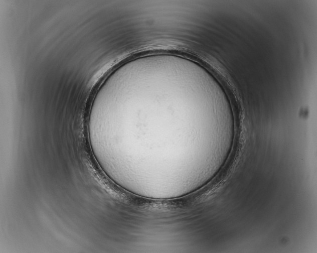 X0000115360834200911241215