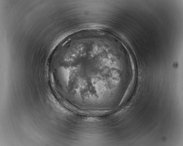 X0000115360835200911241215