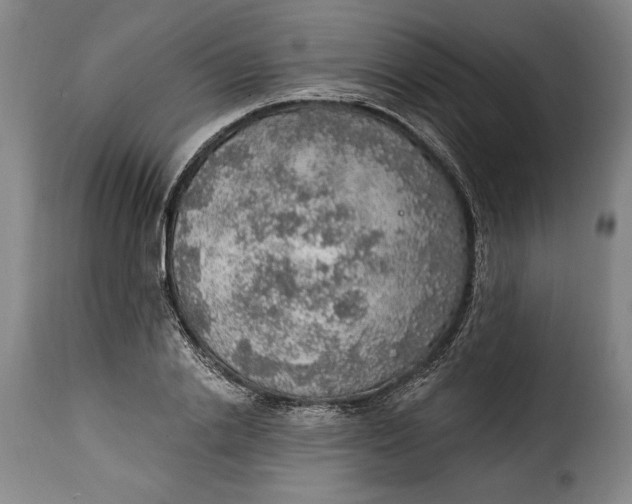 X0000115360838200911241215