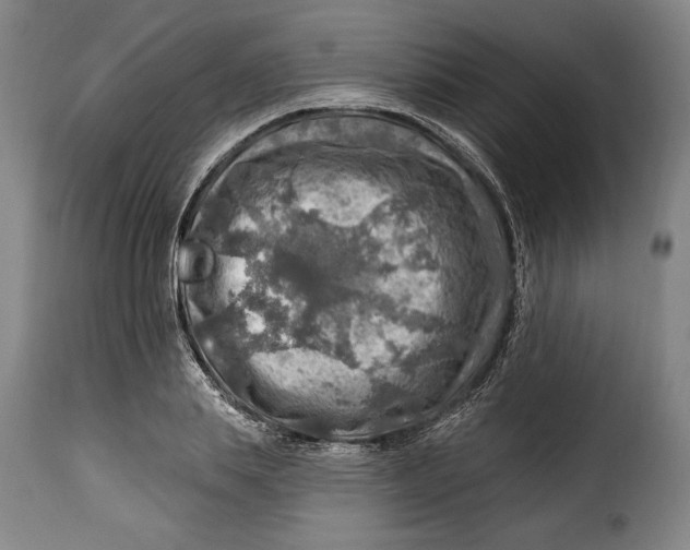X0000115360839200911241215