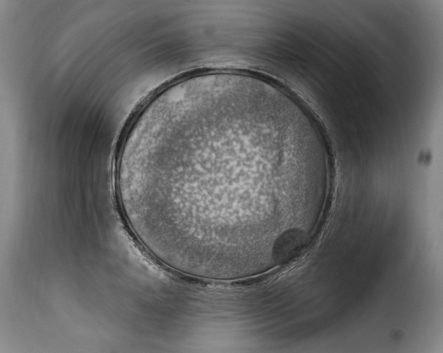 X0000115360840200911241215