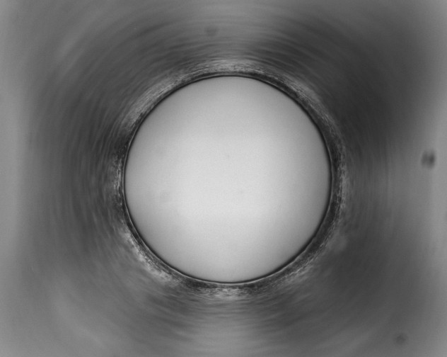 X0000115360841200911241215