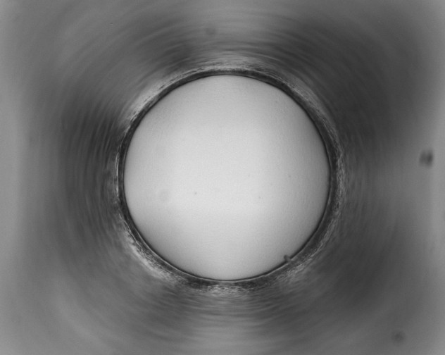 X0000115360842200911241215