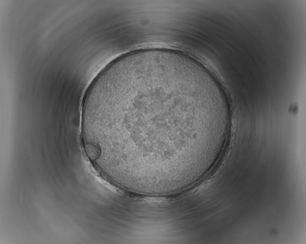 X0000115360844200911241215