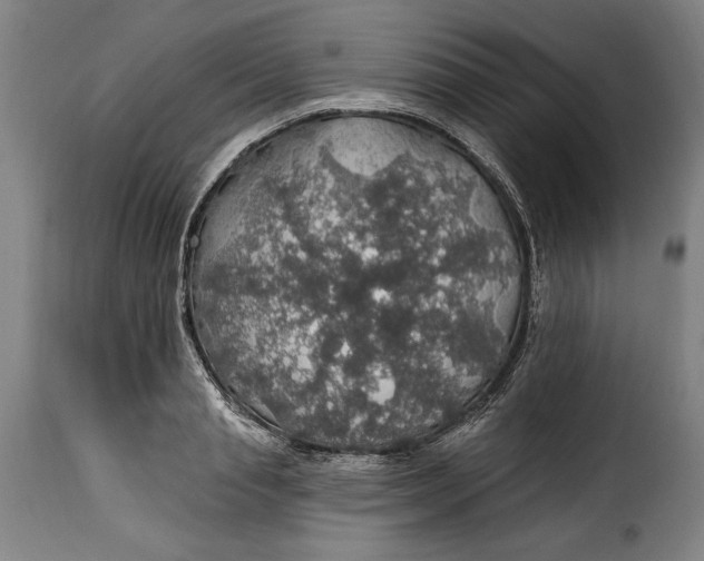X0000115360845200911241215
