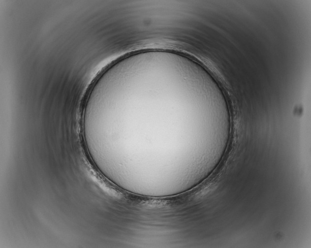 X0000115360846200911241215