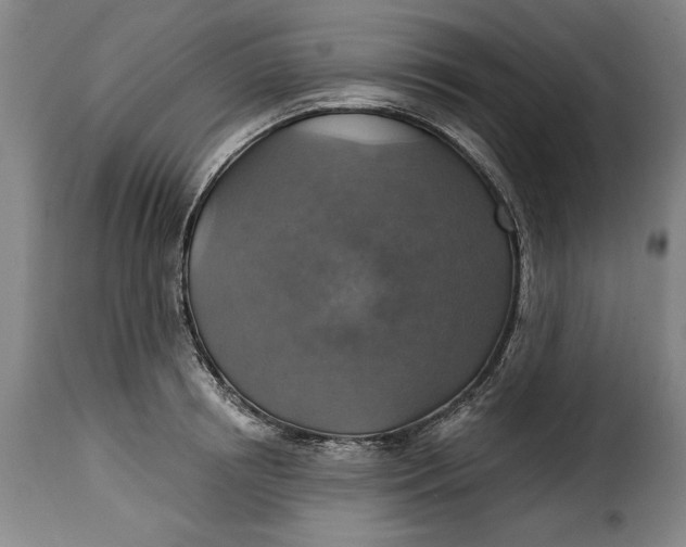 X0000115360850200911241215