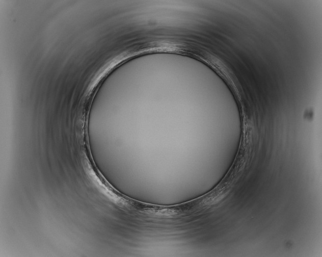 X0000115360851200911241215