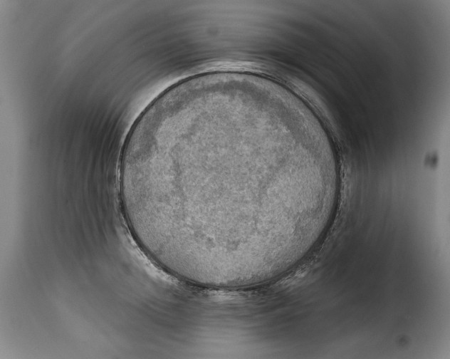 X0000115360852200911241215
