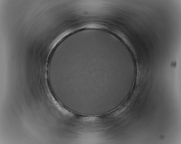 X0000115360853200911241215
