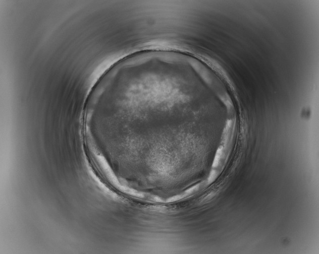 X0000115360855200911241215