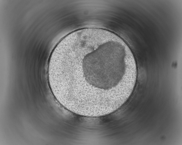 X0000115360856200911241215