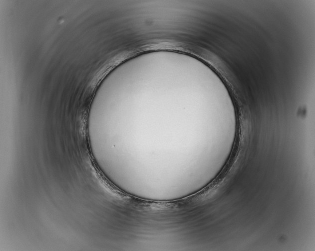 X0000115360857200911241215