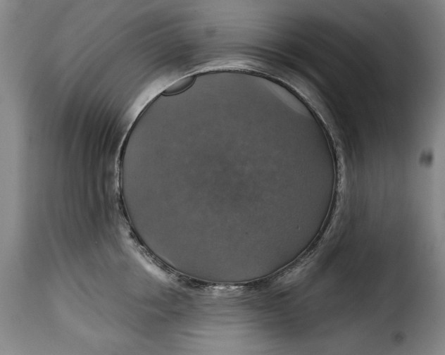 X0000115360858200911241215