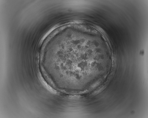 X0000115360859200911241215