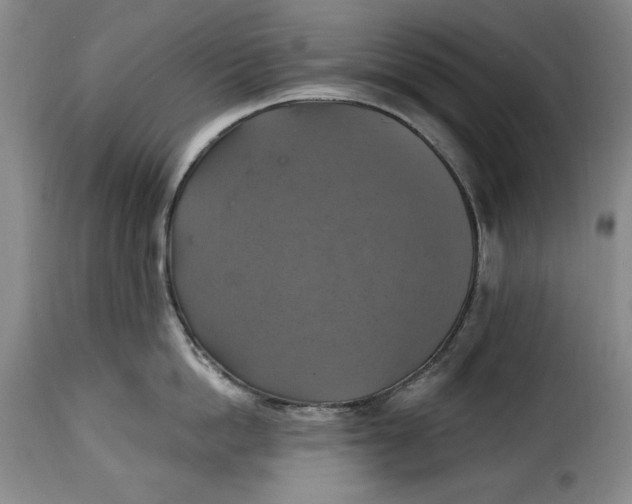 X0000115360862200911241215