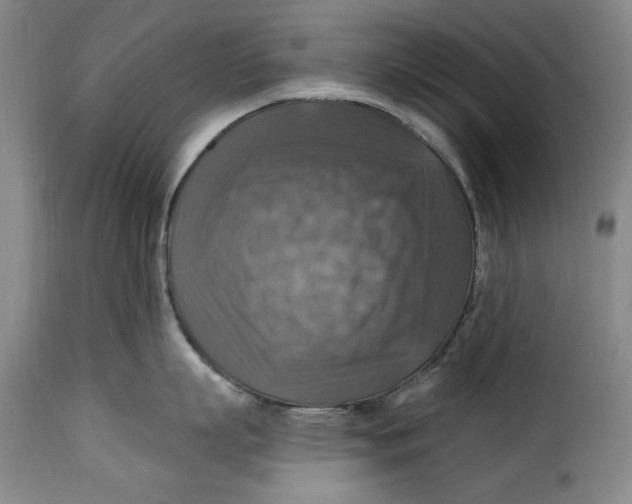 X0000115360863200911241215