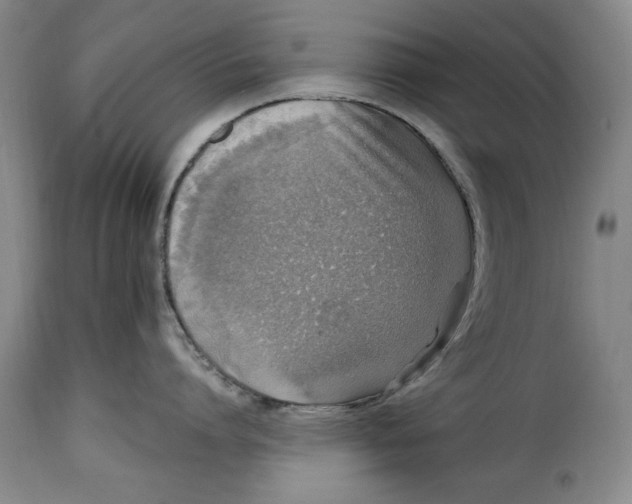 X0000115360864200911241215
