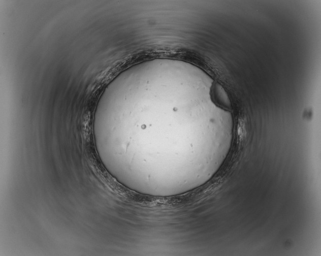 X0000115360867200911241214