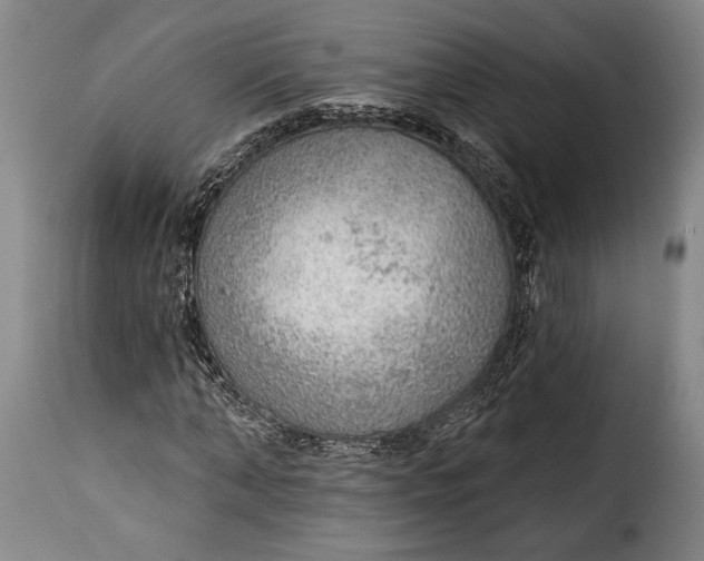 X0000115360870200911241214