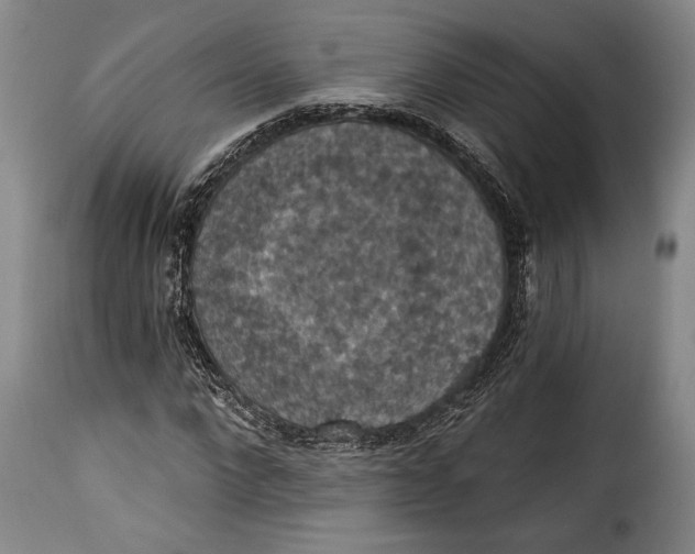 X0000115360872200911241214