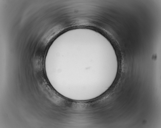 X0000115360873200911241214