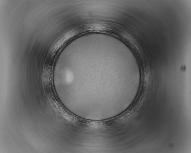X0000115360874200911241214