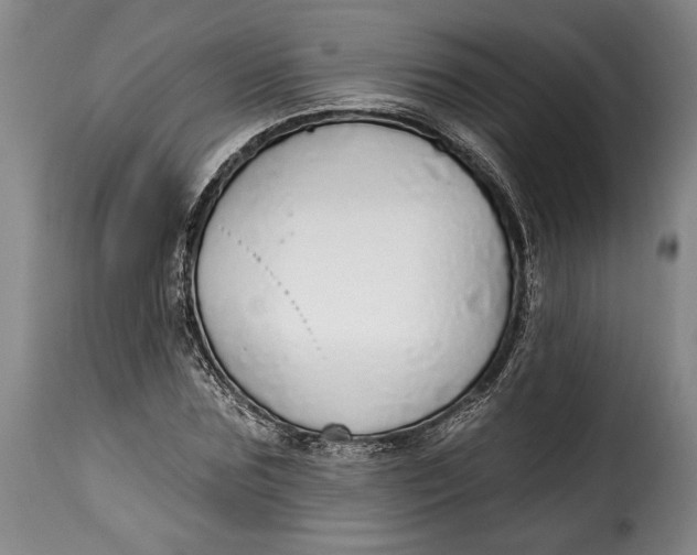 X0000115360875200911241214