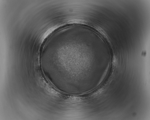X0000115360877200911241214