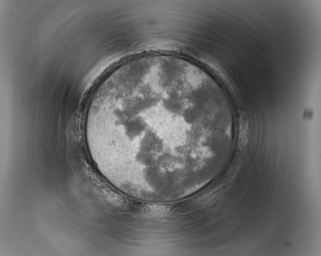 X0000115360878200911241214