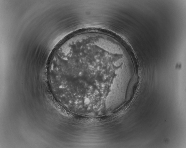 X0000115360879200911241214
