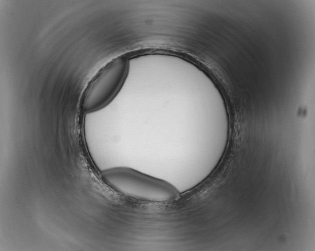 X0000115360880200911241214