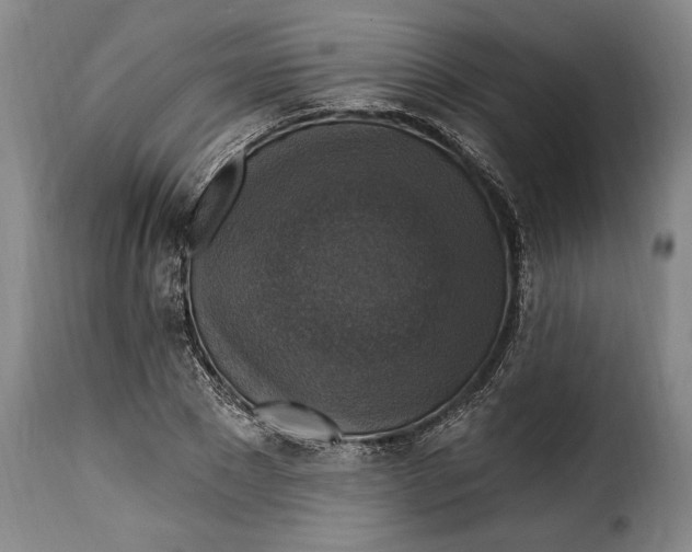 X0000115360881200911241214