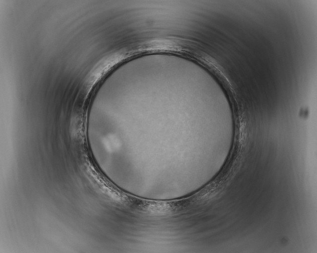 X0000115360882200911241214