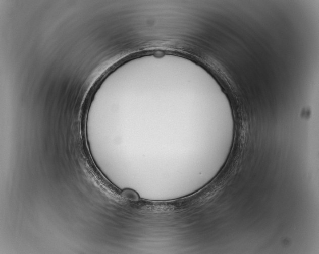 X0000115360884200911241214