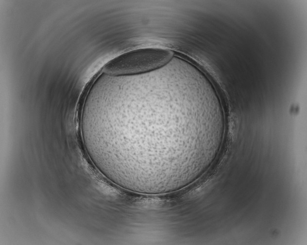 X0000115360885200911241214
