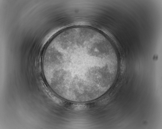 X0000115360886200911241214