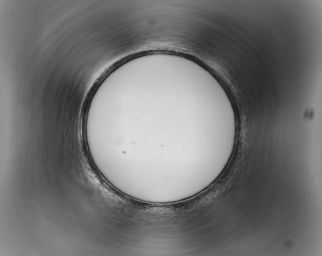 X0000115360888200911241214