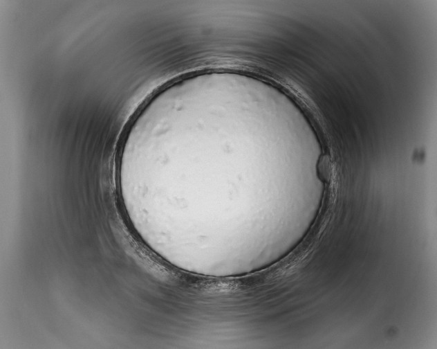 X0000115360891200911241214