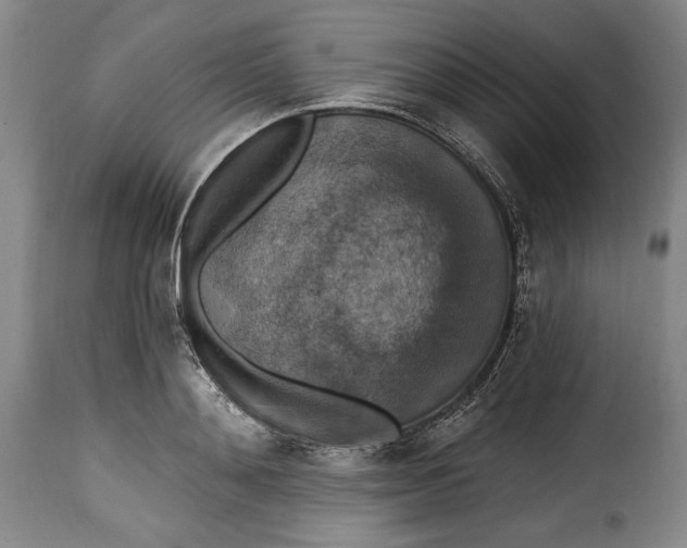 X0000115360892200911241214