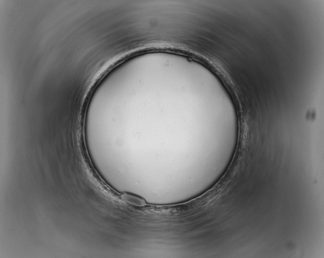 X0000115360895200911241214
