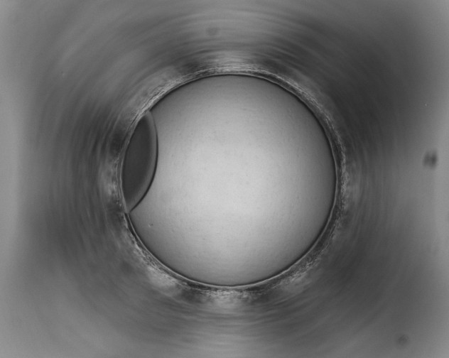 X0000115360897200911241214