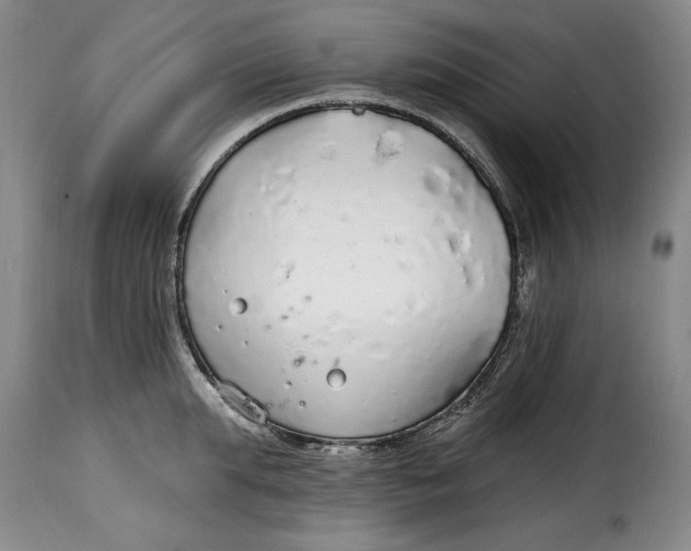 X0000115360903200911241213